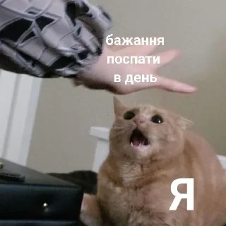 🫣 emoji тваринки Telegram sticker 21 of 31