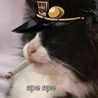 🚬 emoji Жожа базар Авентур Telegram sticker 18 of 27