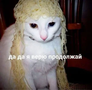 🌟 emoji Котята @Alisa_kipa Telegram sticker 24 of 44