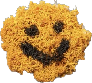 😊 emoji МОХнатый шедевр Telegram sticker 24 of 26