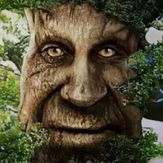 🤔 emoji Trees with deep meaning Telegram sticker 1 of 34