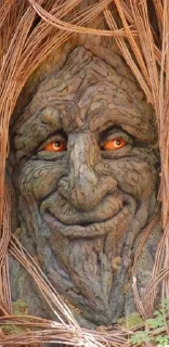 😊 emoji Trees with deep meaning Telegram sticker 5 of 34