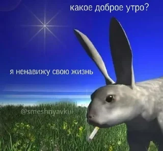 🐇 emoji милашк Telegram sticker 20 of 70
