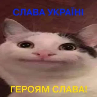 🇺🇦 emoji Цвцжво Telegram sticker 9 of 17