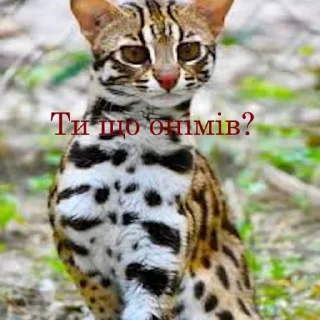 😶‍🌫️ emoji Цвцжво Telegram sticker 10 of 17