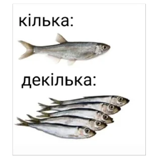 🐟 emoji Наші козаки Telegram sticker 12 of 20
