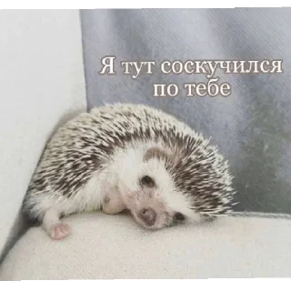 😄 emoji Я их сделал 3 Telegram sticker 9 of 60