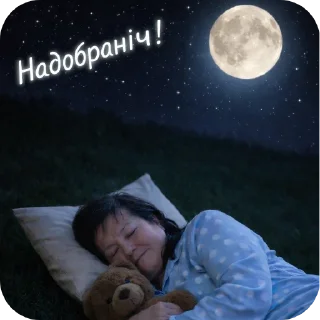 😴 emoji Olga Vasilivna❤️ Telegram sticker 23 of 92