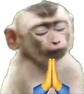 🙏 emoji Пон Telegram sticker 6 of 20
