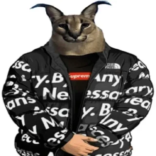 😎 emoji 4 ночи с котами мемами Telegram sticker 18 of 64