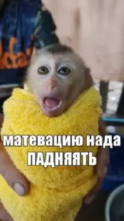 🌟 emoji иринп пум пкм пкм Telegram sticker 13 of 74