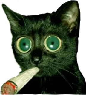 🚬 emoji sueta Telegram sticker 10 of 38