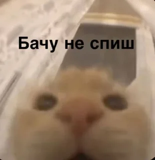 Sticker from жиза