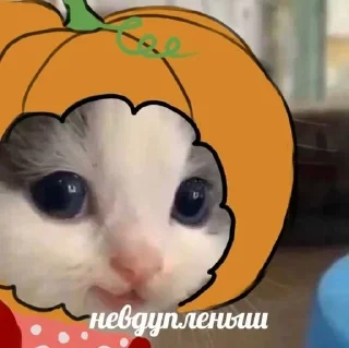 😉 emoji Железный гомосек Telegram sticker 20 of 50