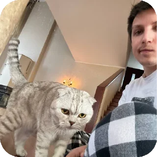 🐱 emoji ебланы Telegram sticker 9 of 14