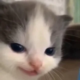 😏 emoji для нас ❤️ Telegram sticker 19 of 50