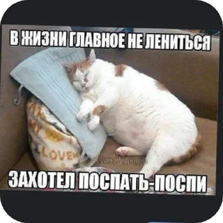 😴 emoji Гы Telegram sticker 17 of 56