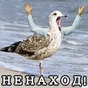 🐔 emoji Under Telegram sticker 24 of 27