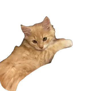 🫥 emoji феня Telegram sticker 19 of 24