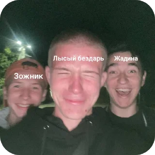 🙂 emoji Бездари и лысые Telegram sticker 10 of 20