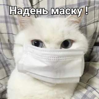 😷 emoji Стикер пак #2 @akv_5 Telegram sticker 8 of 35