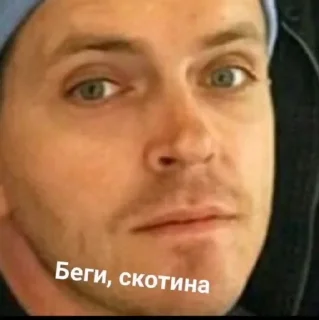 👺 emoji импра, от катюшки зх🤯 Telegram sticker 8 of 120