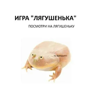 🐸 emoji Жиза Telegram sticker 4 of 54