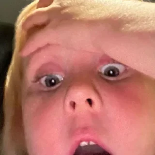 🙀 emoji Васька кукояки Telegram sticker 6 of 18