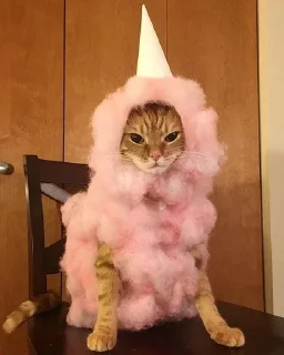 🍧 emoji Это вы - котики Telegram sticker 12 of 23