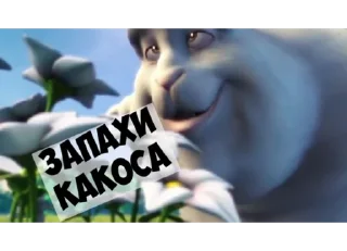 🧑‍🔬 emoji Зайка Telegram sticker 13 of 24