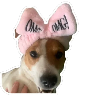 🎀 emoji Женька Telegram sticker 17 of 18
