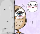 👀 emoji A little cute OWL :: @line_stickers Telegram sticker 7 of 40