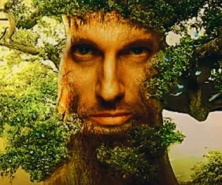 🤨 emoji Wise Mystical Tree Telegram sticker 3 of 31