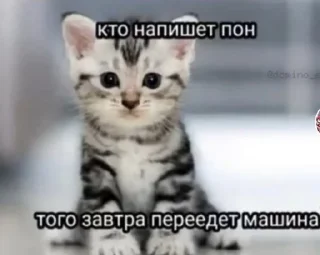 🌟 emoji Сальные кирпичи Telegram sticker 23 of 120