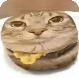 🐱 emoji Кошак даркончика Telegram sticker 12 of 66