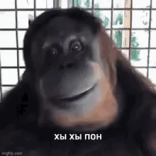 Sticker from пон