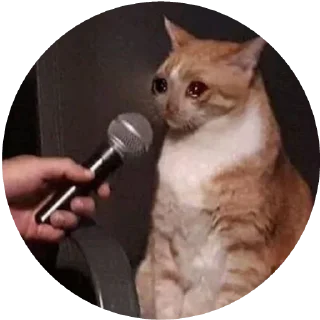 😿 emoji Грустные киси Telegram sticker 13 of 21
