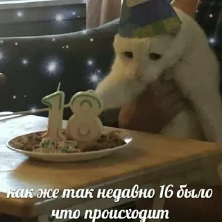 🎂 emoji милашк Telegram sticker 6 of 70