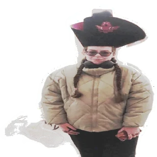 Sticker from лера энгри бердс киниешка