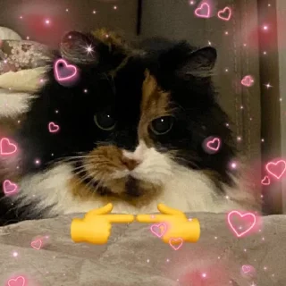 Sticker from королевская сигма