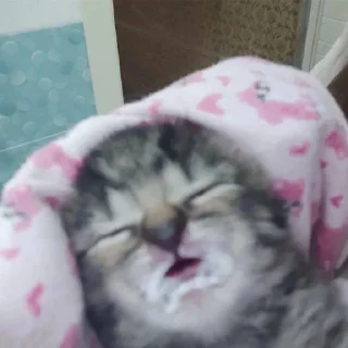 💆‍♂ emoji гриб-грибочек Telegram sticker 14 of 120