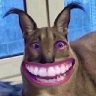 🤣 emoji 4 ночи с котами мемами Telegram sticker 20 of 64