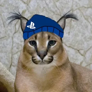 🙃 emoji 4 ночи с котами мемами Telegram sticker 22 of 64