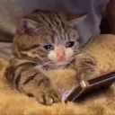 😢 emoji Это конец @stlaurentjr Telegram sticker 14 of 120
