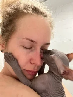 😽 emoji Прекрасный Степан Telegram sticker 6 of 59