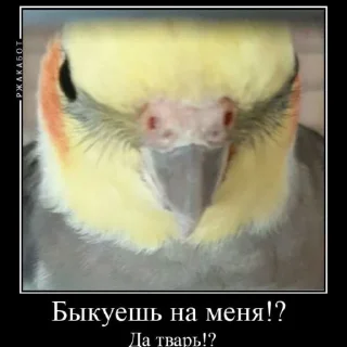 😡 emoji Мышиная гвардия Telegram sticker 15 of 16
