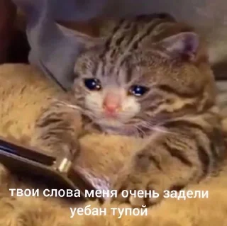 😳 emoji Ты что Даун Telegram sticker 10 of 47