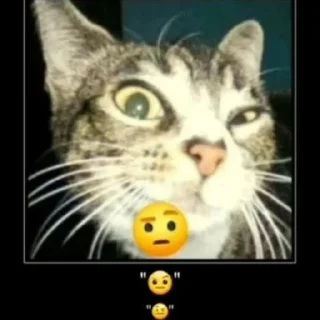 🤨 emoji ура Telegram sticker 15 of 59