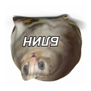 🙃 emoji Хуйня Telegram sticker 22 of 26