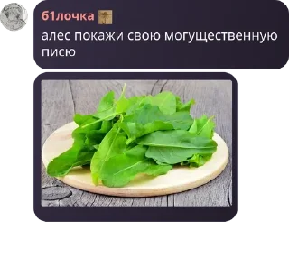 🌚 emoji алесбелрелы сквад Telegram sticker 8 of 80